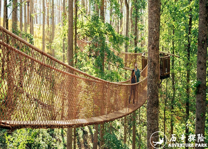 树顶吊桥器械树顶漫步游乐器材专业设计施工安装树顶漫步 树顶步道 