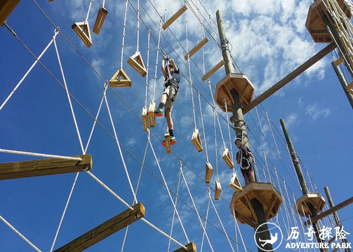  高空网阵 步步惊心 丛林探险设备 青少年儿童绳网探险乐园 景区户外场地游乐定制厂家设历奇探险