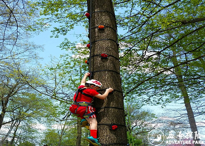 SRT绳索攀树项目厂家 园林高空树上作业设备 景区户外攀树拓展 亲子体能训练器材