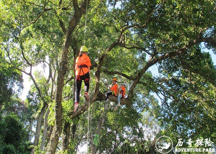 园林高空树上作业 攀树绳网探险乐园 户外景区森林公园夏令营基地场地安装
