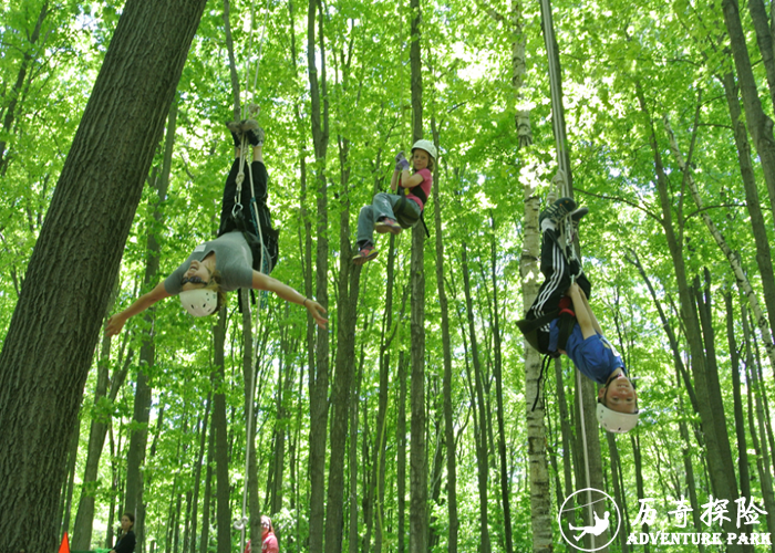 攀树器材 户外景区森林公园大型爬树工程设计安装 历奇探险专业场地施工建设厂家